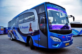 bus-bejeu-pariwisata-terbaru-2016-5