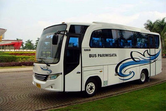 medium-bus