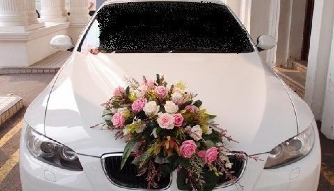 hipwee-mobil4